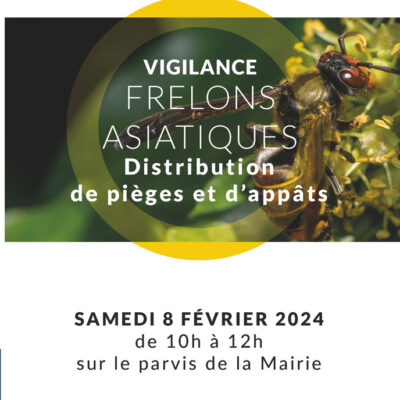 dIsitribution d'appâts a frelon asiatique (voir description de l'image dans le lien )
