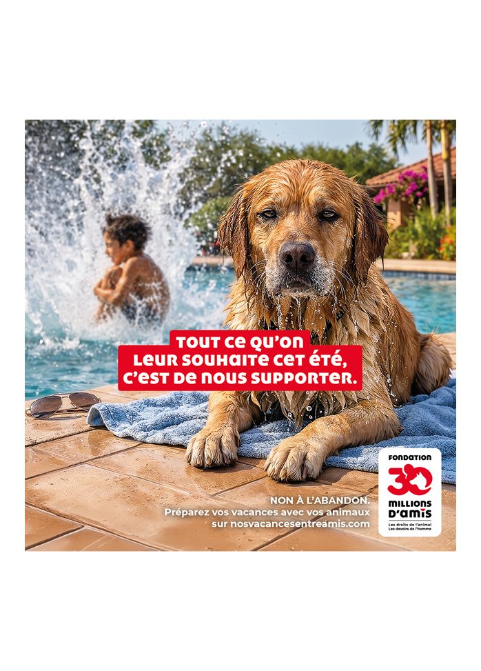 Affiche non à l'abandon