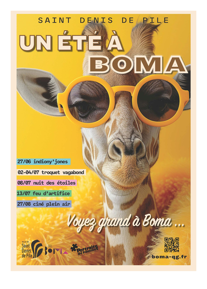 Affiche un été à Boma